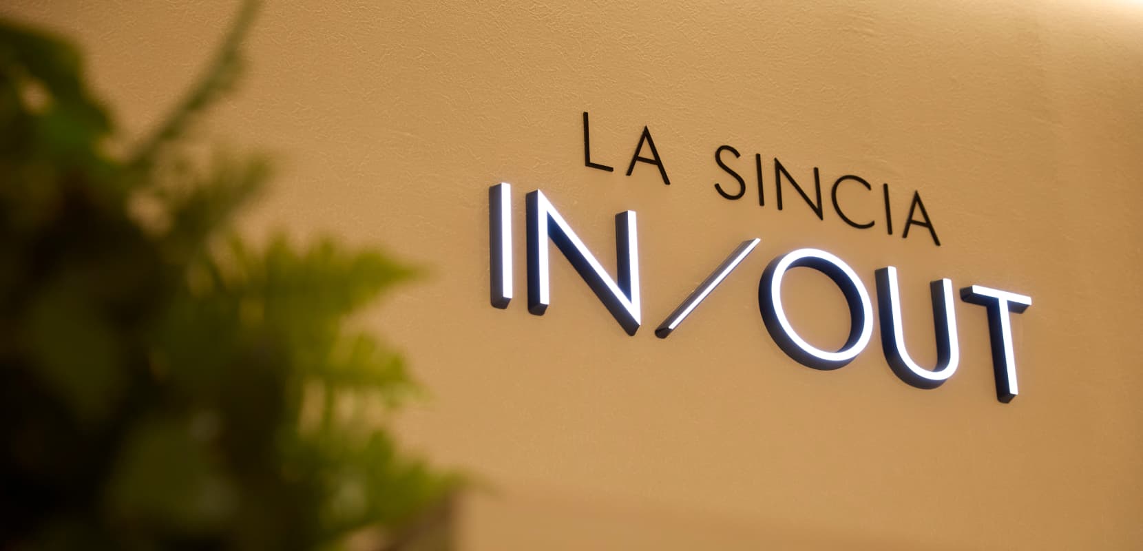 LA SINCIA IN／OUT